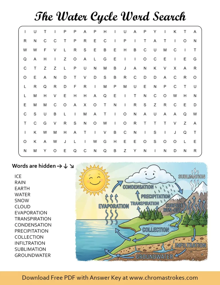 An educational water cycle word search puzzle featuring a detailed diagram of the process.