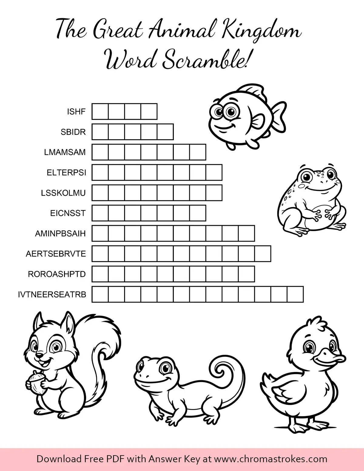 3rd Grade – Animal Classification